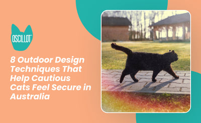 8 Outdoor Design Techniques That Help Cautious Cats Feel Secure in Australia