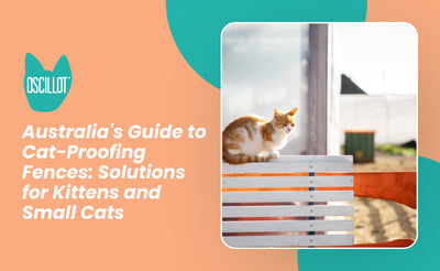Australia's Guide to Cat-Proofing Fences: Solutions for Kittens and Small Cats