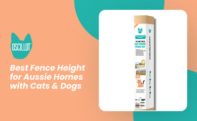 Best Fence Height for Aussie Homes with Cats & Dogs