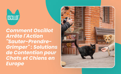 Comment Oscillot Arrête l'Action "Sauter-Prendre-Grimper" : Solutions de Contention pour Chats et Chiens en Europe