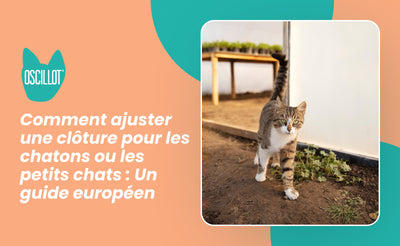 Comment ajuster une clôture pour les chatons ou les petits chats : Un guide européen