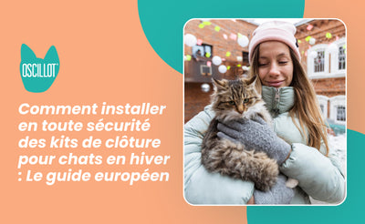 Comment installer en toute sécurité des kits de clôture pour chats en hiver : Le guide européen