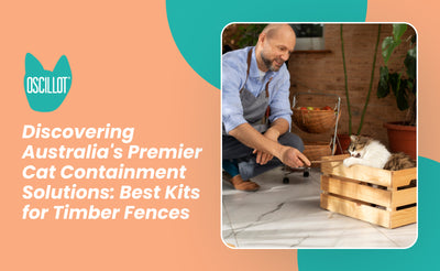 Discovering Australia's Premier Cat Containment Solutions: Best Kits for Timber Fences