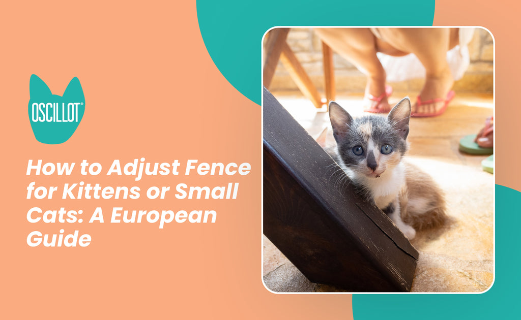 How to Adjust Fence for Kittens or Small Cats: A European Guide ...