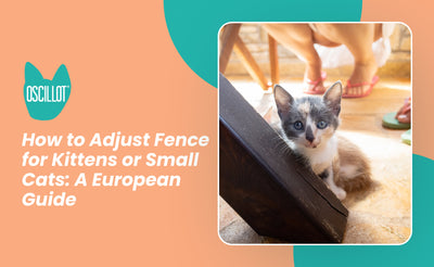 How to Adjust Fence for Kittens or Small Cats: A European Guide