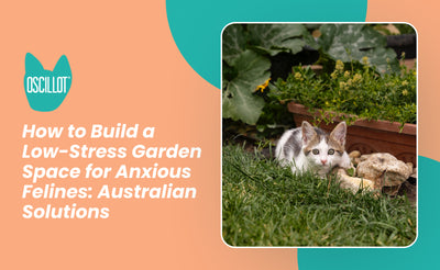 How to Build a Low-Stress Garden Space for Anxious Felines: Australian Solutions