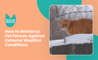 How to Reinforce Pet Fences Against Extreme Weather Conditions