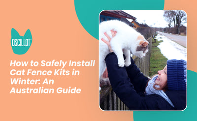 How to Safely Install Cat Fence Kits in Winter: An Australian Guide