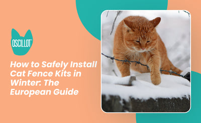 How to Safely Install Cat Fence Kits in Winter: The European Guide