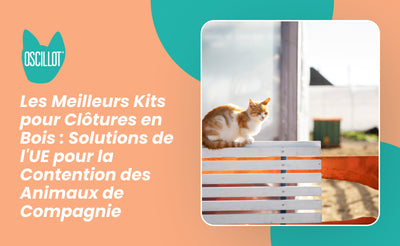 Les Meilleurs Kits pour Clôtures en Bois : Solutions de l'UE pour la Contention des Animaux de Compagnie