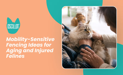 Mobility-Sensitive Fencing Ideas for Aging and Injured Felines