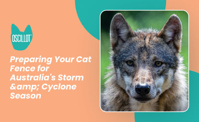 Preparing Your Cat Fence for Australia's Storm &amp; Cyclone Season