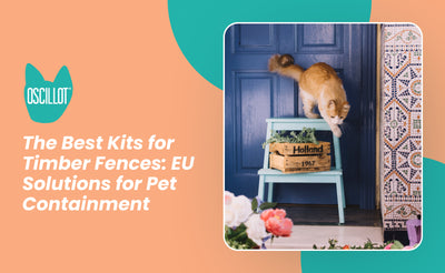The Best Kits for Timber Fences: EU Solutions for Pet Containment