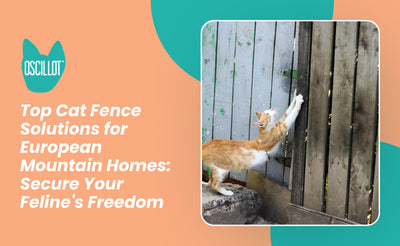 Top Cat Fence Solutions for European Mountain Homes: Secure Your Feline's Freedom