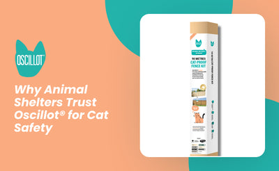 Why Animal Shelters Trust Oscillot® for Cat Safety