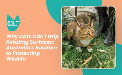 Why Cats Can't Grip Rotating Surfaces: Australia's Solution to Protecting Wildlife