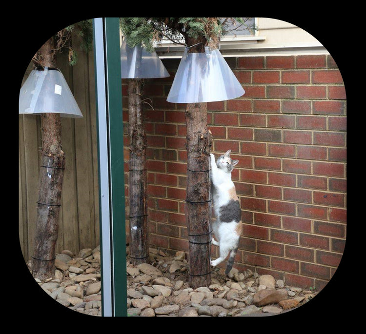 Oscillot cat tree guard